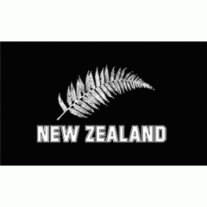 New Zealand Silver Fern Large Flag